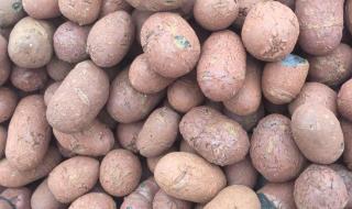 一百平方需用多少陶粒 1立方陶粒多少包