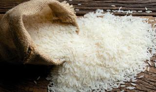 今天小麦多少钱一斤