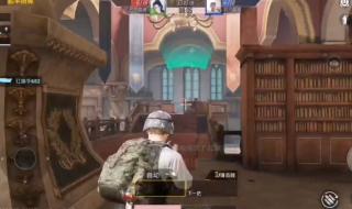 荣耀平板8怎么开启和平精英陀螺仪 和平精英怎么打狮子