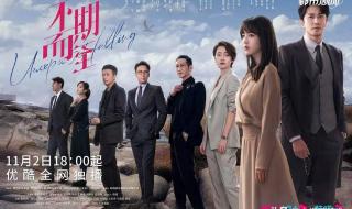 不期而至剧情介绍电视猫 不期而至电视剧剧情