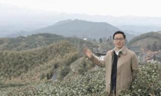 径山茶的功效与作用