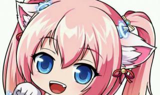 夜光法师技能加点