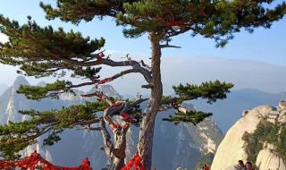 华山医院皮肤科预约