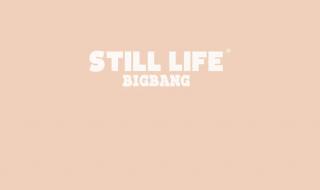 stilllife专辑怎么买 bigbangstilllife