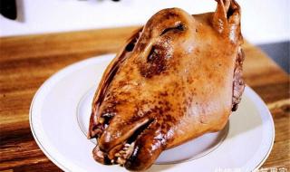 怎么养蜘蛛 蟋蟀怎么获得狼蛛