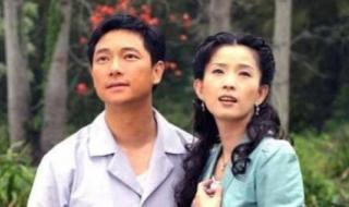 木棉花的春天主题歌