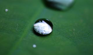 有谁清楚尼康d800e配什么镜头 尼康d800配什么镜头