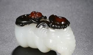 象是哪个民族的生肖